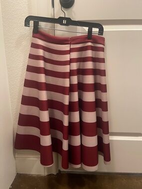 Striped A-Line Skirt in Wine and Blush